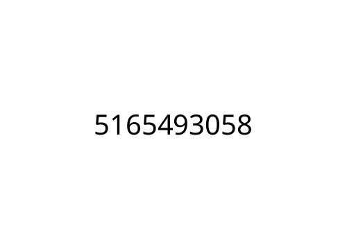 5165493058