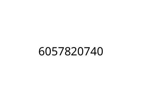 6057820740