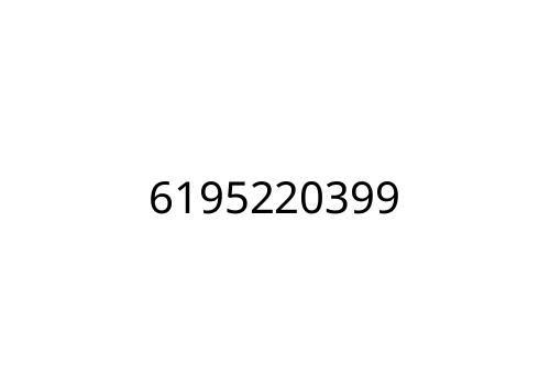 6195220399