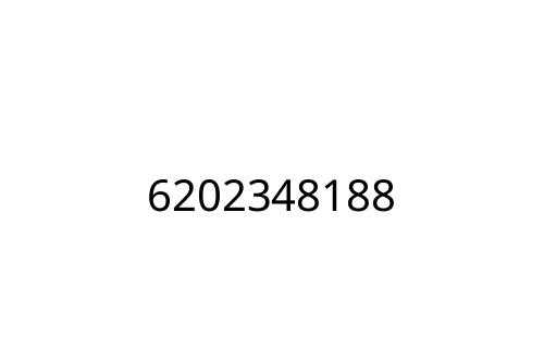 6202348188