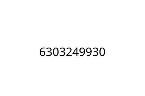 6303249930