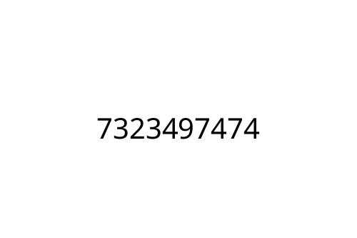 7323497474