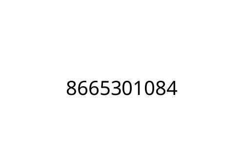 8665301084