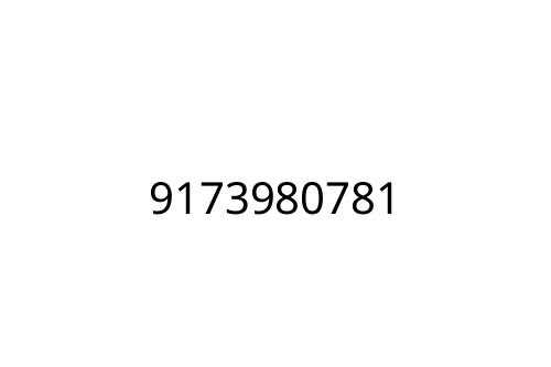 9173980781