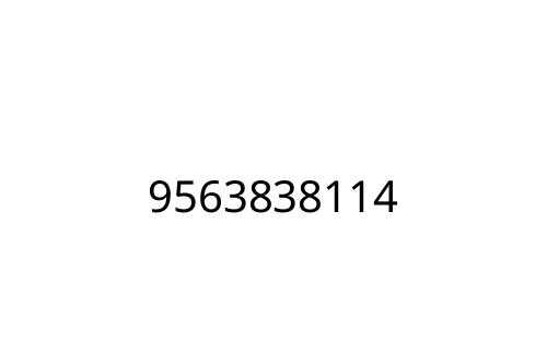9563838114