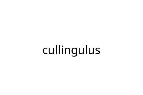 cullingulus