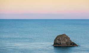 can nillobada cook at home