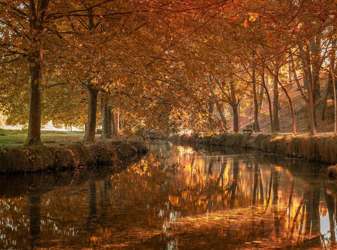 Estilos y Diseños de Tatuajes de Serpientes en los Dedos