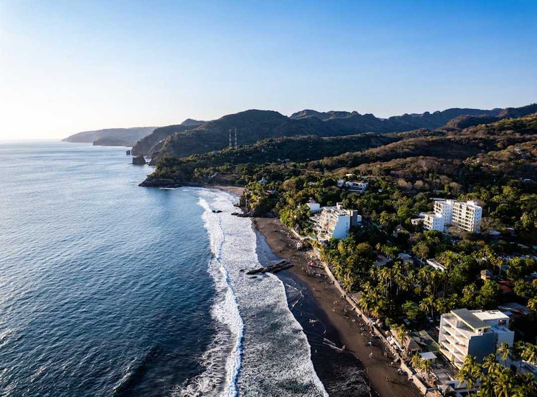 El Espíritu del Pehuén: La Conexión Sagrada con el Pueblo Mapuche