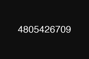 4805426709