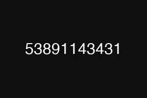 53891143431
