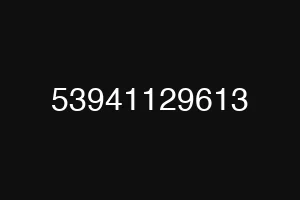 53941129613