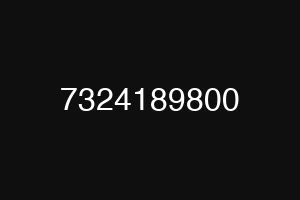 7324189800