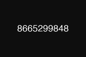 8665299848