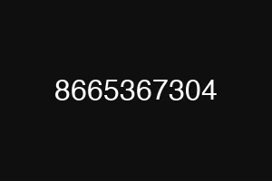 8665367304