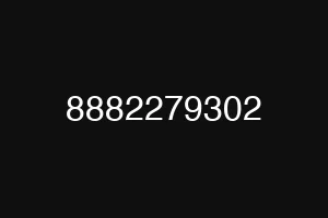 8882279302
