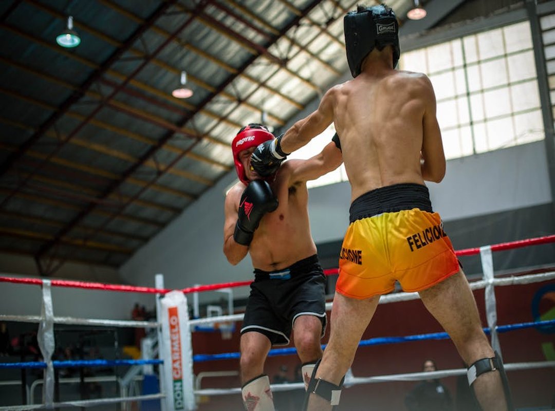 Zumoto Chieloka Boxer