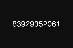 83929352061