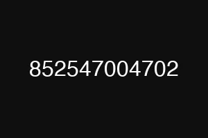 852547004702