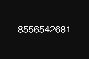 8556542681
