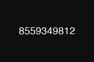 8559349812