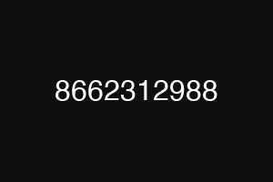 8662312988
