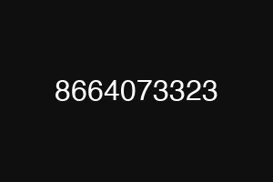 8664073323