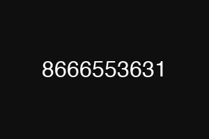 8666553631
