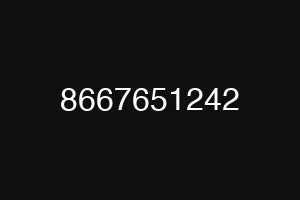 8667651242
