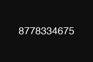 8778334675