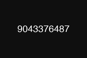 9043376487