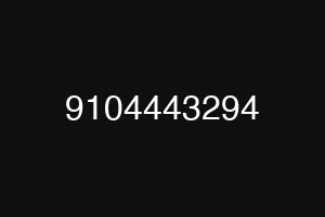 9104443294