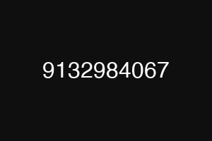 9132984067