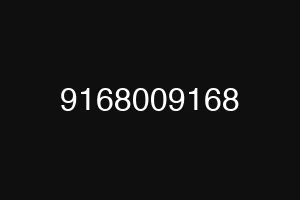 9168009168
