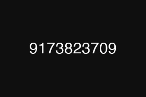 9173823709