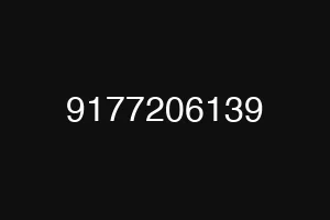 9177206139