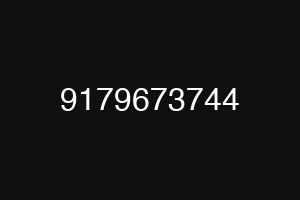 9179673744