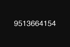 9513664154