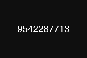 9542287713