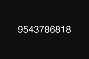 9543786818