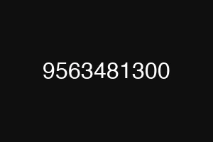 9563481300